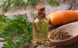 shutterstock 208208248